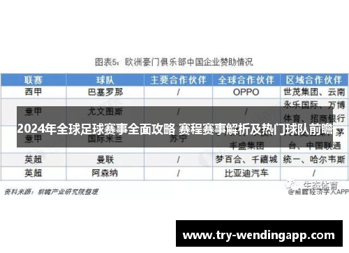 2024年全球足球赛事全面攻略 赛程赛事解析及热门球队前瞻