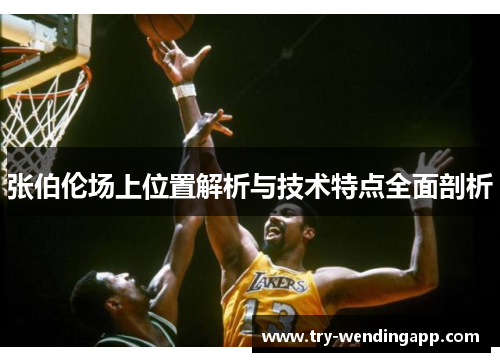 张伯伦场上位置解析与技术特点全面剖析
