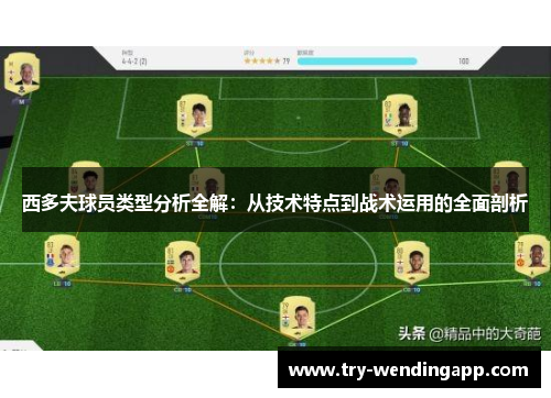 西多夫球员类型分析全解：从技术特点到战术运用的全面剖析