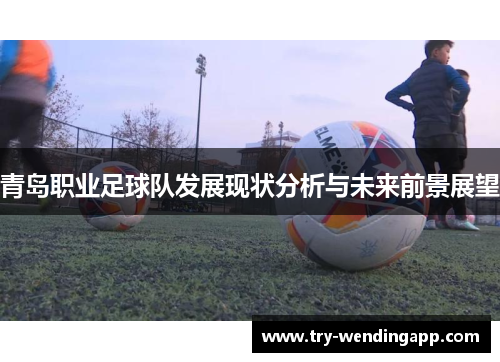 青岛职业足球队发展现状分析与未来前景展望