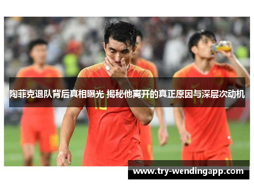 陶菲克退队背后真相曝光 揭秘他离开的真正原因与深层次动机