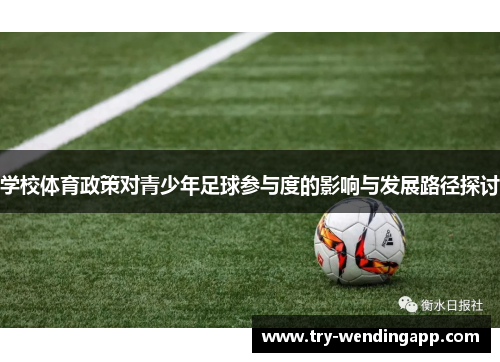 学校体育政策对青少年足球参与度的影响与发展路径探讨