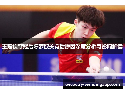 王楚钦夺冠后陈梦取关背后原因深度分析与影响解读