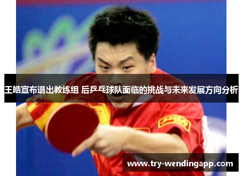 王皓宣布退出教练组 后乒乓球队面临的挑战与未来发展方向分析