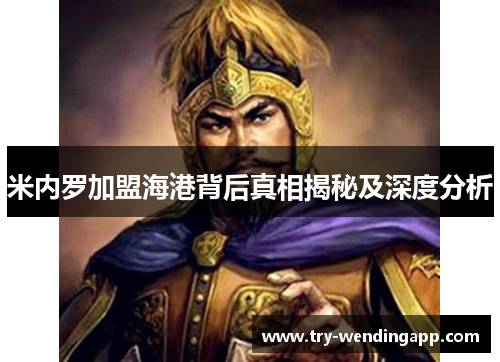 米内罗加盟海港背后真相揭秘及深度分析