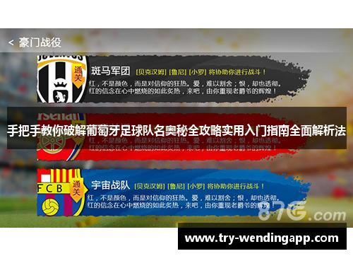 手把手教你破解葡萄牙足球队名奥秘全攻略实用入门指南全面解析法