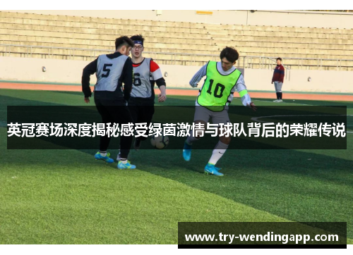 英冠赛场深度揭秘感受绿茵激情与球队背后的荣耀传说 英冠赛场深度揭秘感受绿茵激情与球队背后的荣耀传说