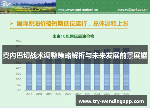 费内巴切战术调整策略解析与未来发展前景展望