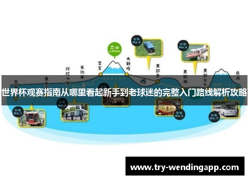 世界杯观赛指南从哪里看起新手到老球迷的完整入门路线解析攻略
