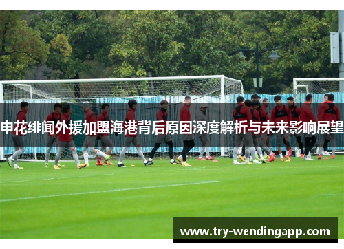 申花绯闻外援加盟海港背后原因深度解析与未来影响展望 申花绯闻外援加盟海港背后原因深度解析与未来影响展望
