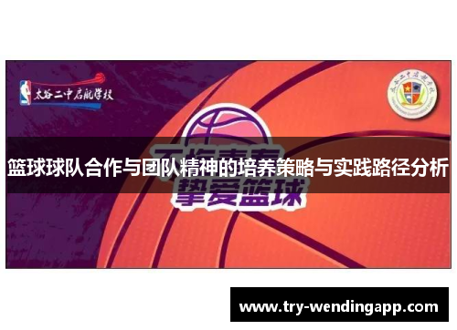 篮球球队合作与团队精神的培养策略与实践路径分析