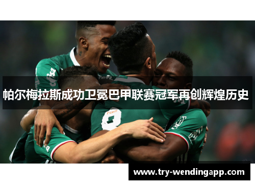 帕尔梅拉斯成功卫冕巴甲联赛冠军再创辉煌历史 帕尔梅拉斯成功卫冕巴甲联赛冠军再创辉煌历史