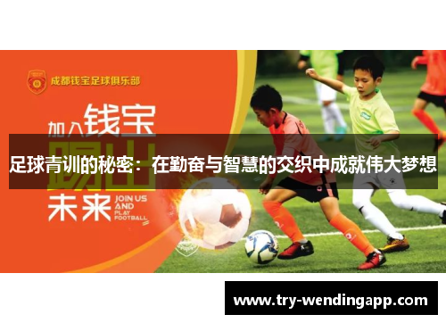 足球青训的秘密:在勤奋与智慧的交织中成就伟大梦想 足球青训的秘密:在勤奋与智慧的交织中成就伟大梦想