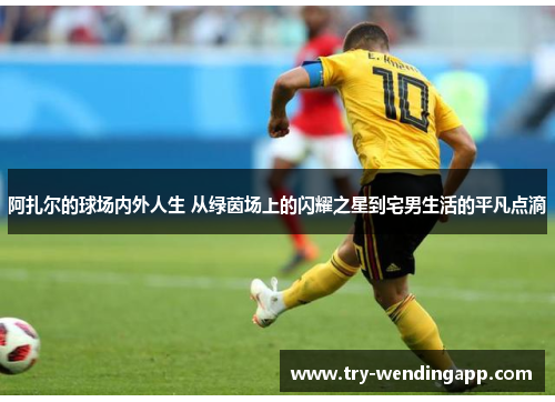 阿扎尔的球场内外人生 从绿茵场上的闪耀之星到宅男生活的平凡点滴 阿扎尔的球场内外人生 从绿茵场上的闪耀之星到宅男生活的平凡点滴
